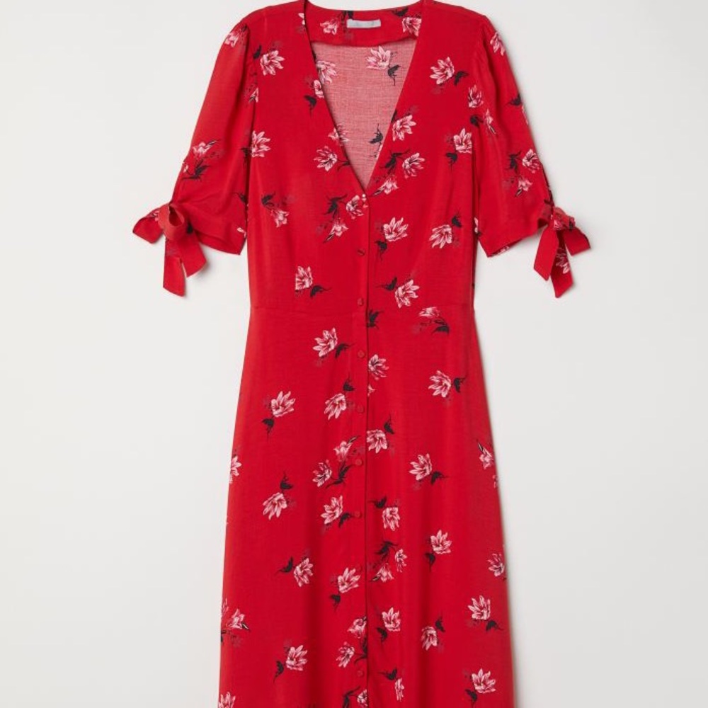 H&M V-Neck Maxi Floral Dress